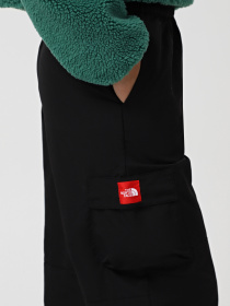 Брюки The North Face Himalayan Track модель NF0A88Z6JK31 Фото