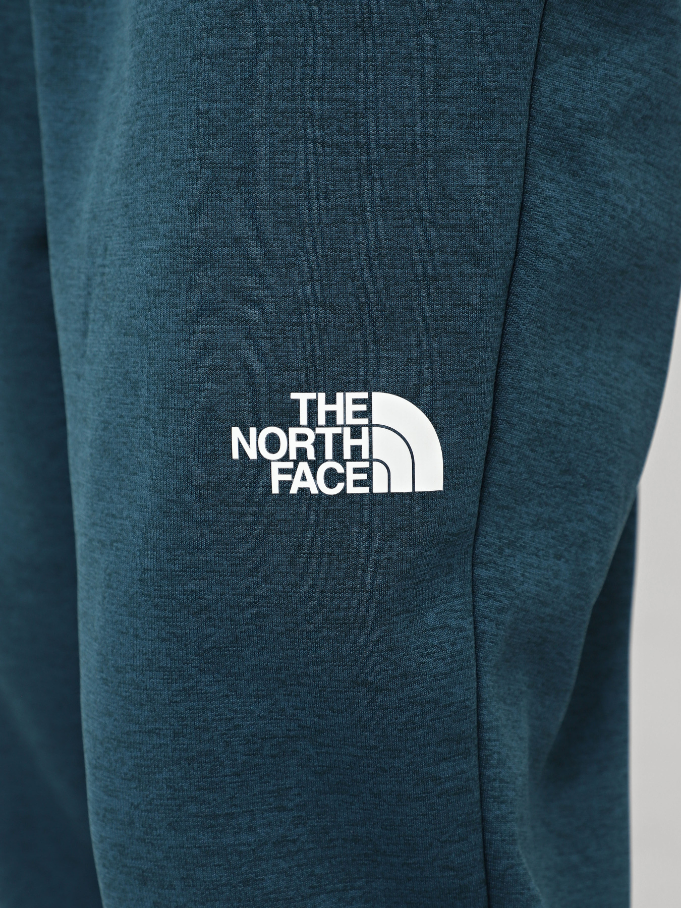 Штани The North Face Reaxion модель NF0A7Z9P2LO1 Фото