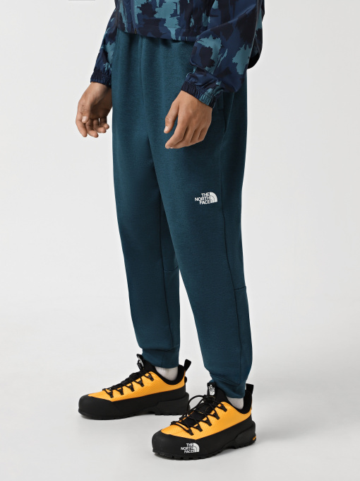 Брюки The North Face Reaxion модель NF0A7Z9P2LO1 Фото
