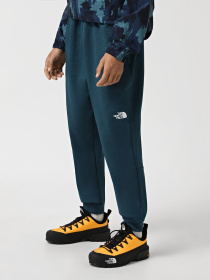 Штани The North Face Reaxion модель NF0A7Z9P2LO1 Фото