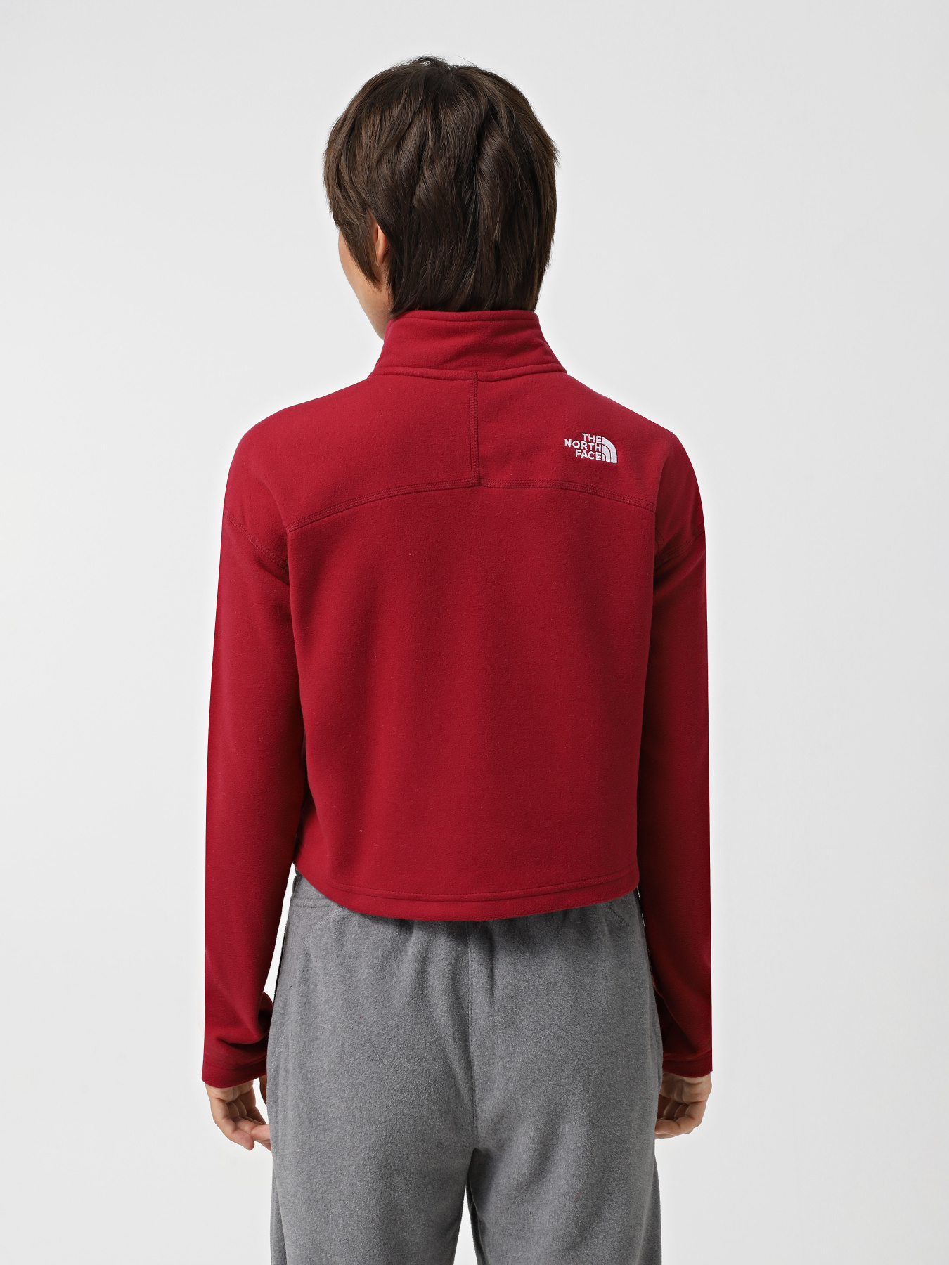 Худі та світшоти The North Face 100 Glacier Cropped 1/4 Zip Fleece модель NF0A855N1IX1 Фото