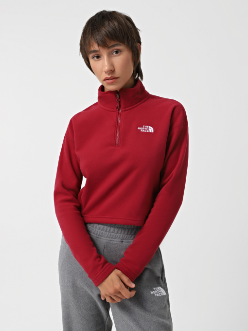 Худі та світшоти The North Face 100 Glacier Cropped 1/4 Zip Fleece модель NF0A855N1IX1 Фото