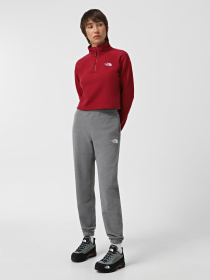 Худі та світшоти The North Face 100 Glacier Cropped 1/4 Zip Fleece модель NF0A855N1IX1 Фото