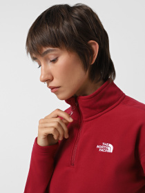 Худі та світшоти The North Face 100 Glacier Cropped 1/4 Zip Fleece модель NF0A855N1IX1 Фото