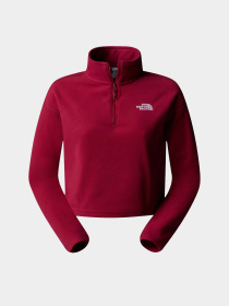 Худі та світшоти The North Face 100 Glacier Cropped 1/4 Zip Fleece модель NF0A855N1IX1 Фото