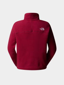 Худі та світшоти The North Face 100 Glacier Cropped 1/4 Zip Fleece модель NF0A855N1IX1 Фото