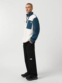 Худі та світшоти The North Face Yumiori 1/4 Zip Fleece модель NF0A883S9IH1 Фото