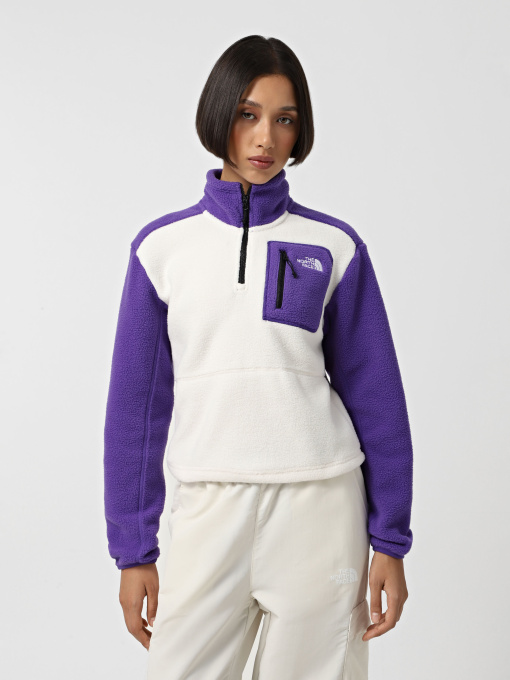 Худі та світшоти The North Face Yumiori 1/4 Zip Fleece модель NF0A88439IA1 Фото