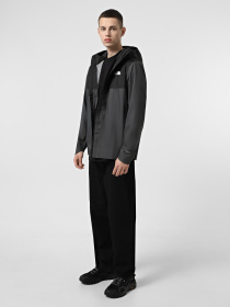 Куртки и дубленки The North Face Quest Zip-In Compatible модель NF0A3YFM4JK1 Фото
