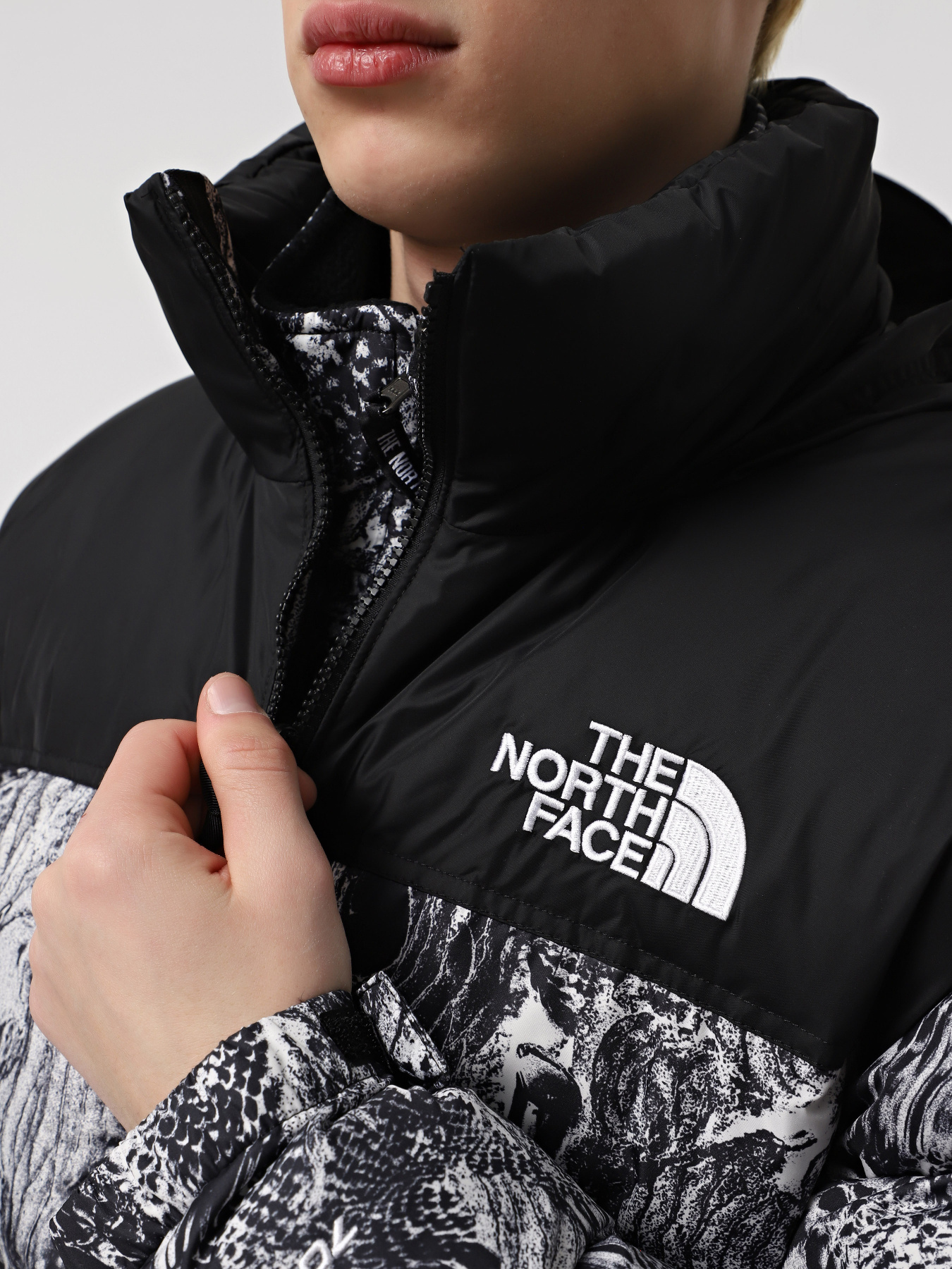 Куртки и дубленки The North Face 1996 Retro Nuptse модель NF0A3C8D8R51 Фото