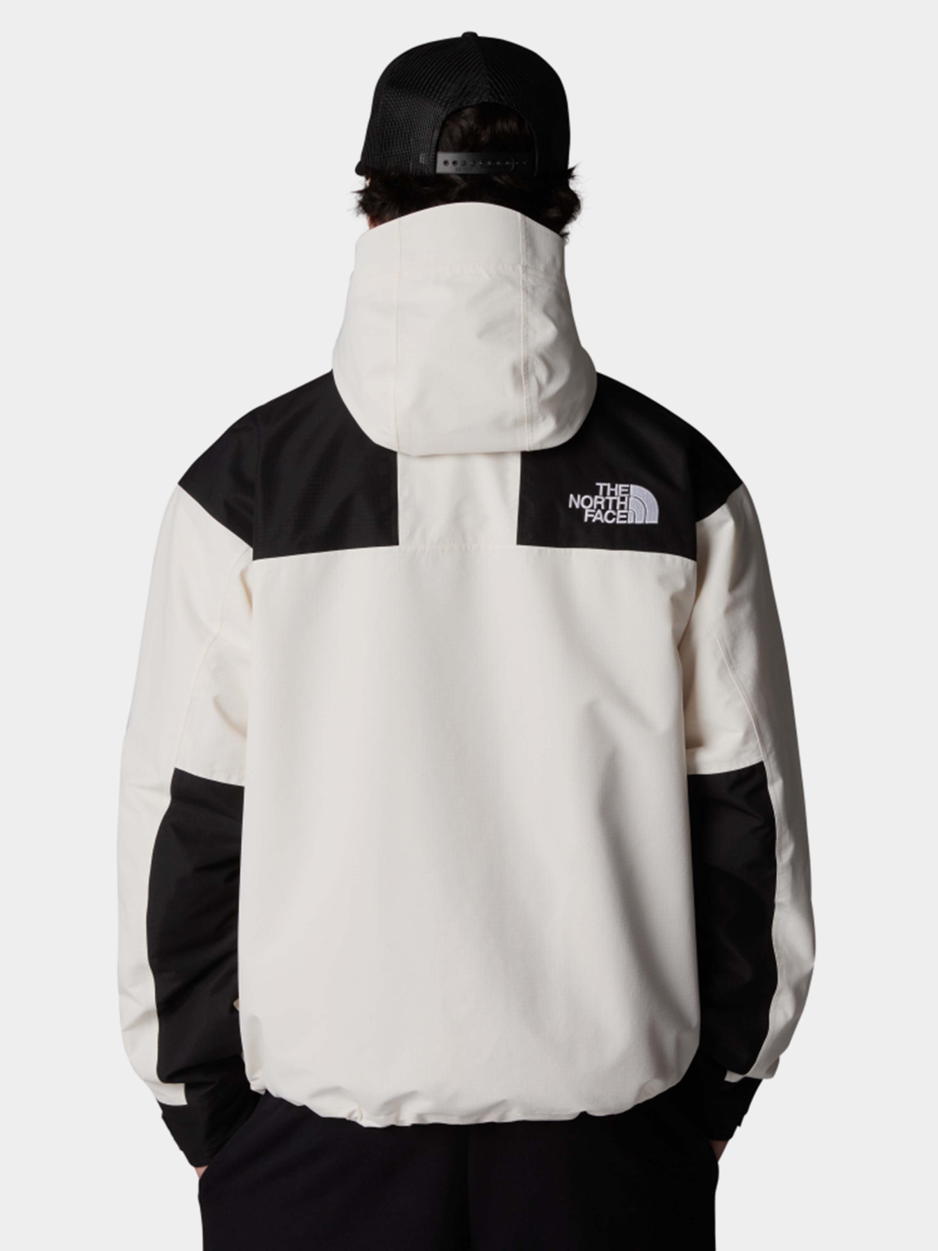 Куртки и дубленки The North Face Dryvent Mono Mountain модель NF0A88XFROU1 Фото
