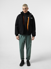 Куртки та дублянки The North Face Nse Insulated модель NF0A8BJKJK31 Фото