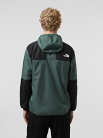 Куртки и дубленки The North Face Seasonal Mountain модель NF0A5IG3HCH1 Фото