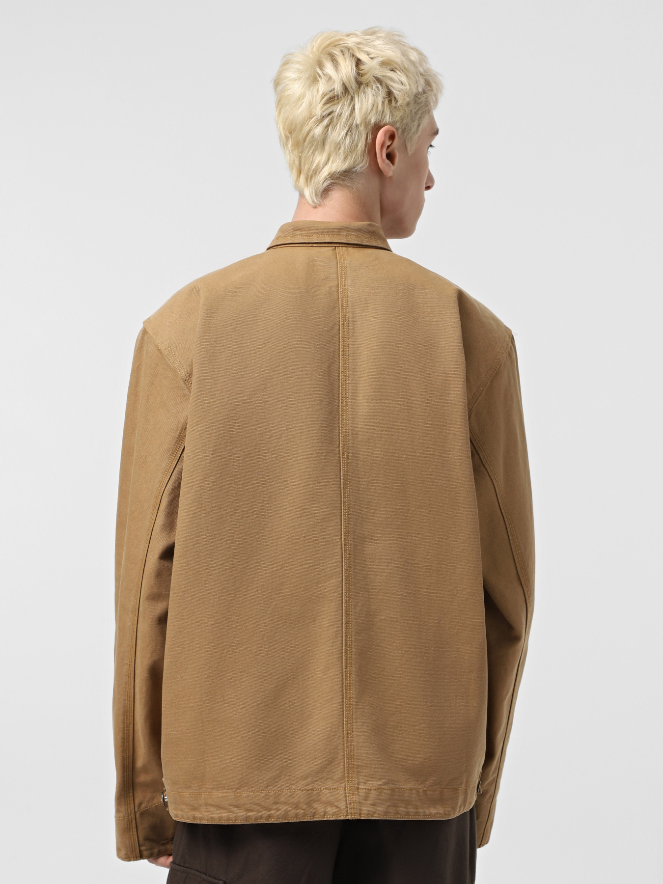 Куртки и дубленки The North Face Cedar Canvas Work модель NF0A8B721731 Фото