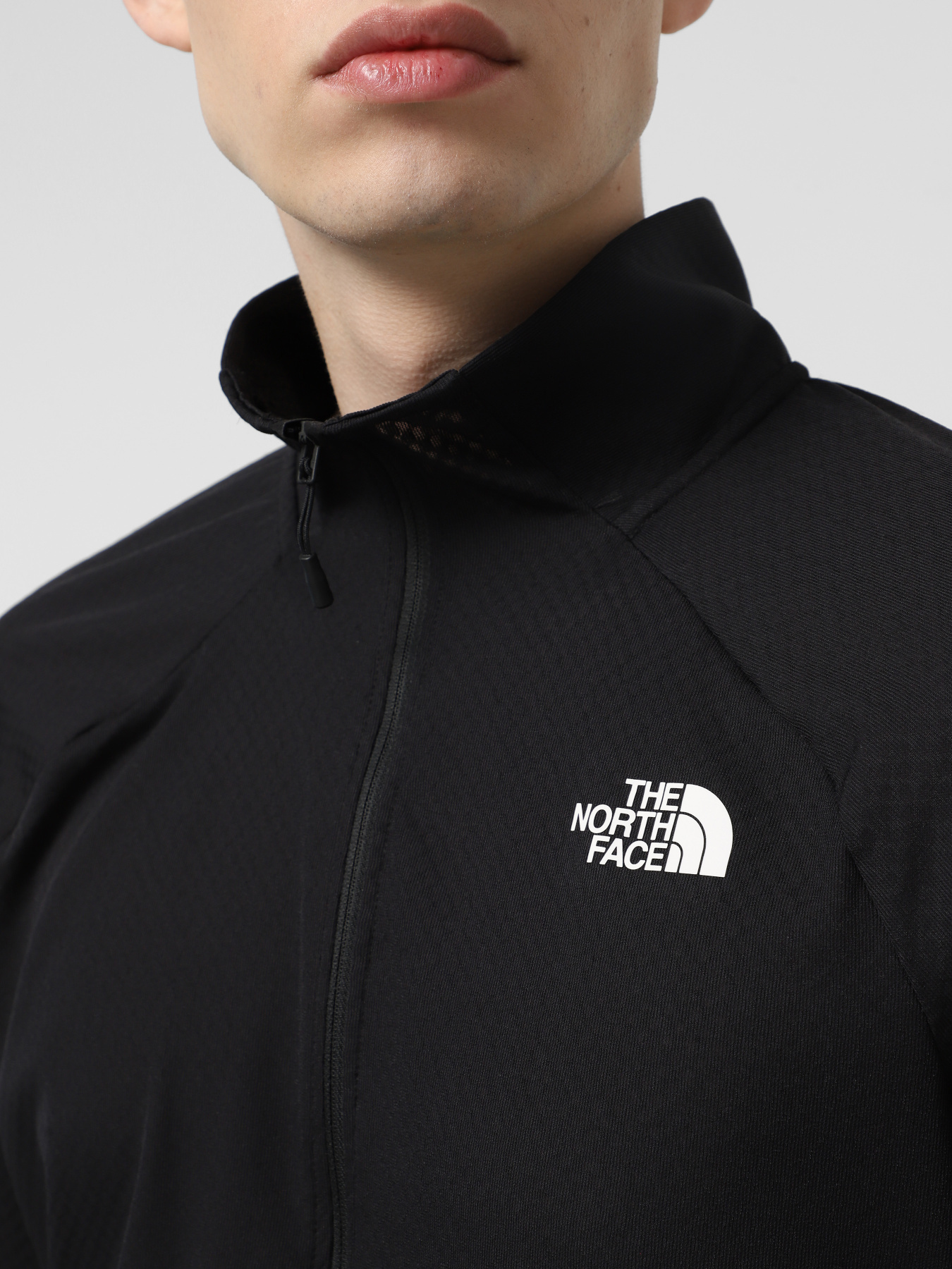 Худі та світшоти The North Face Summit Series FUTUREFLEECE™ LT ½-Zip модель NF0A5J8R4H01 Худі та світшоти The North Face Summit Series FUTUREFLEECE™ LT ½-Zip модель NF0A5J8R4H01 Фото
