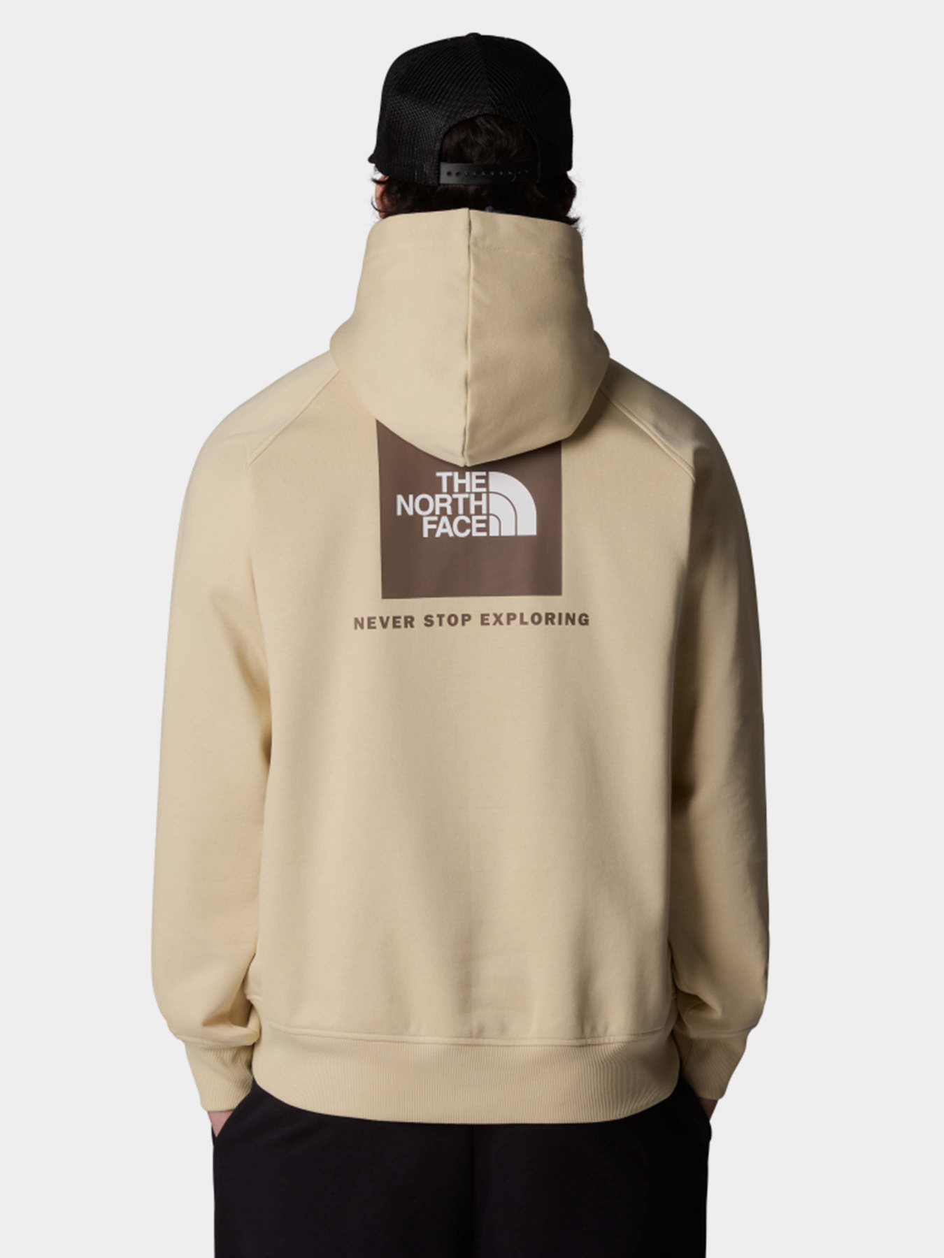 Худи и свитшоты The North Face Raglan Box Nse модель NF0A89F9B2O1 Фото