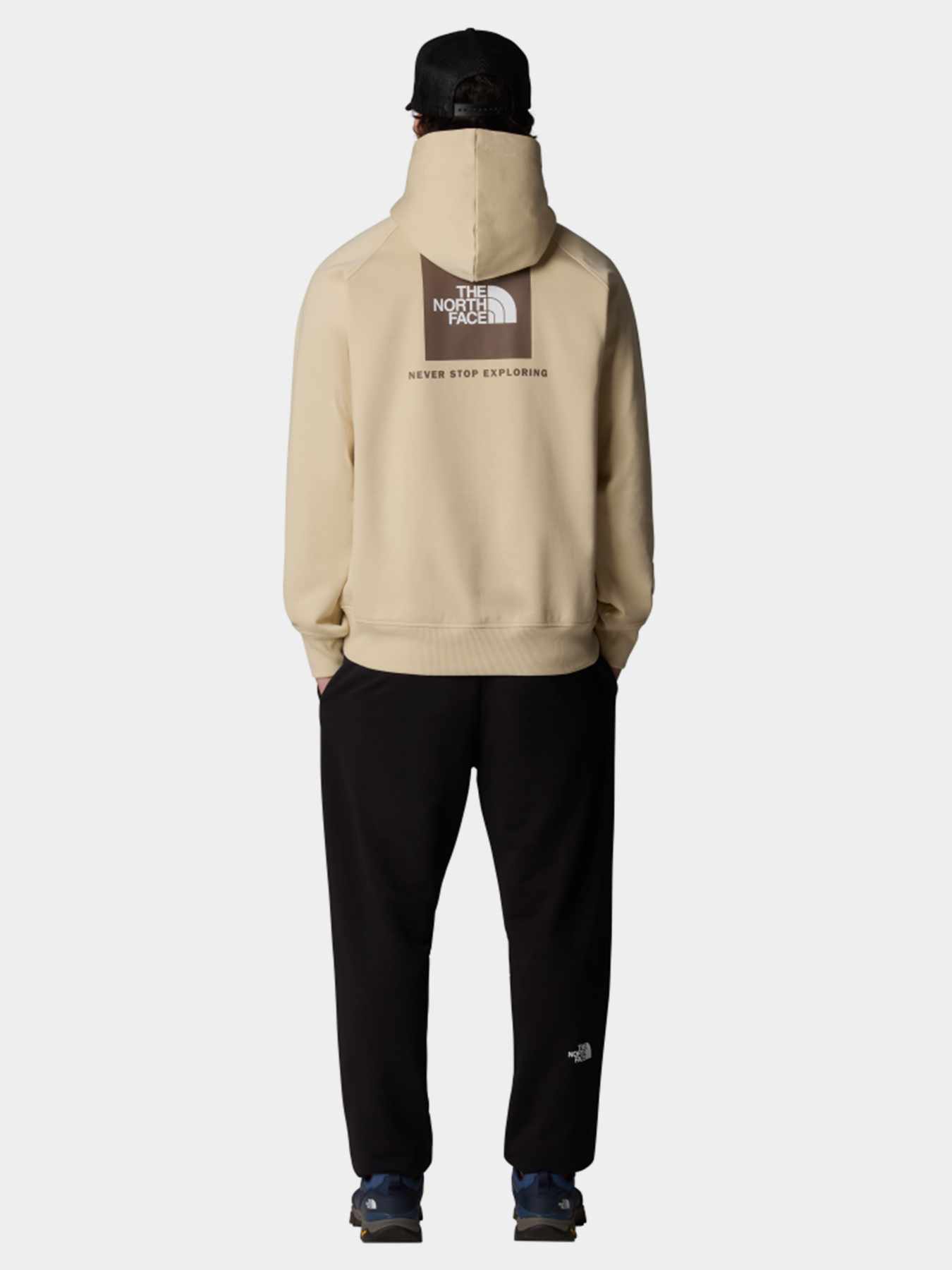Худи и свитшоты The North Face Raglan Box Nse модель NF0A89F9B2O1 Фото