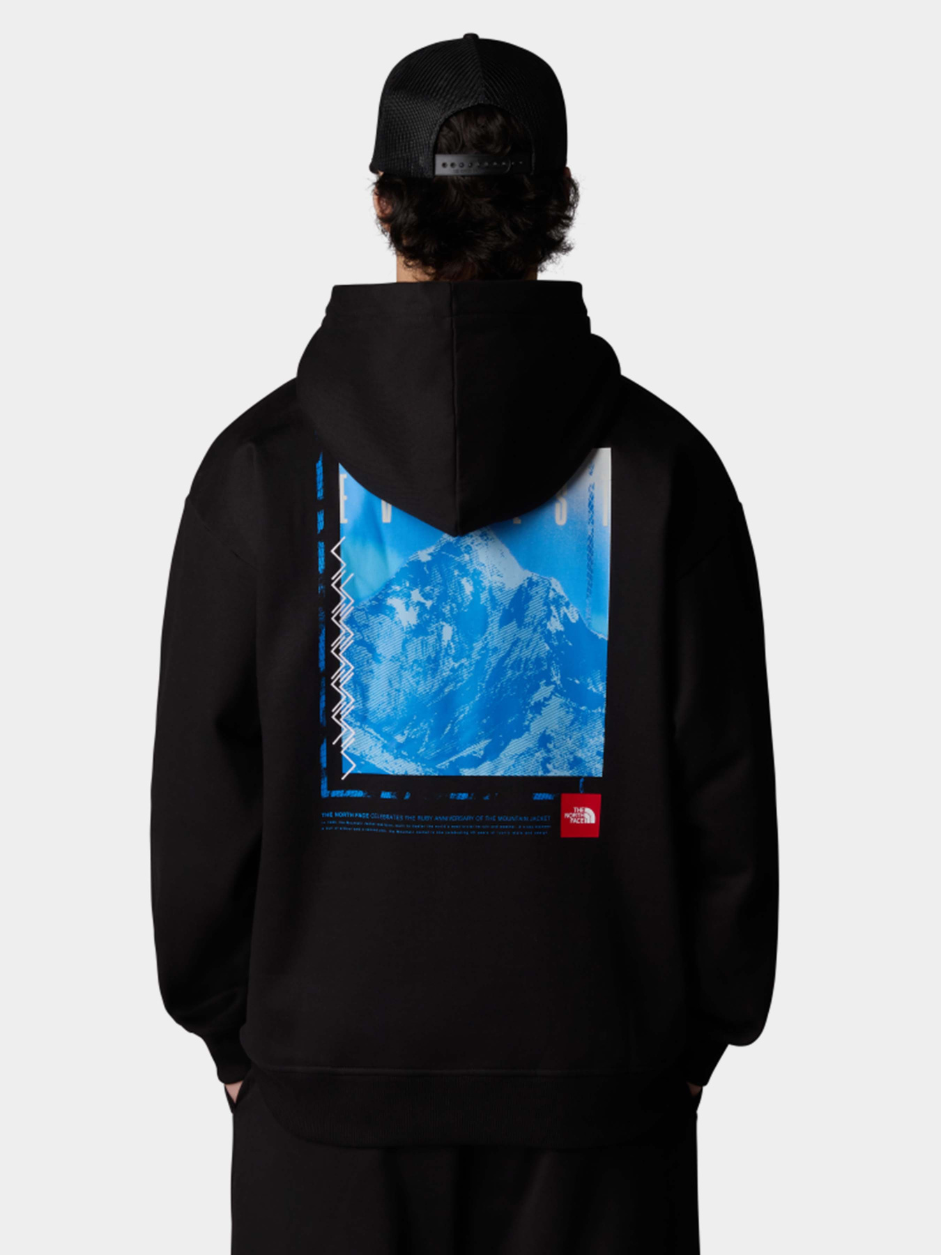 Худі та світшоти The North Face Axys Oversized модель NF0A8C1QJK31 Худі та світшоти The North Face Axys Oversized модель NF0A8C1QJK31 Фото