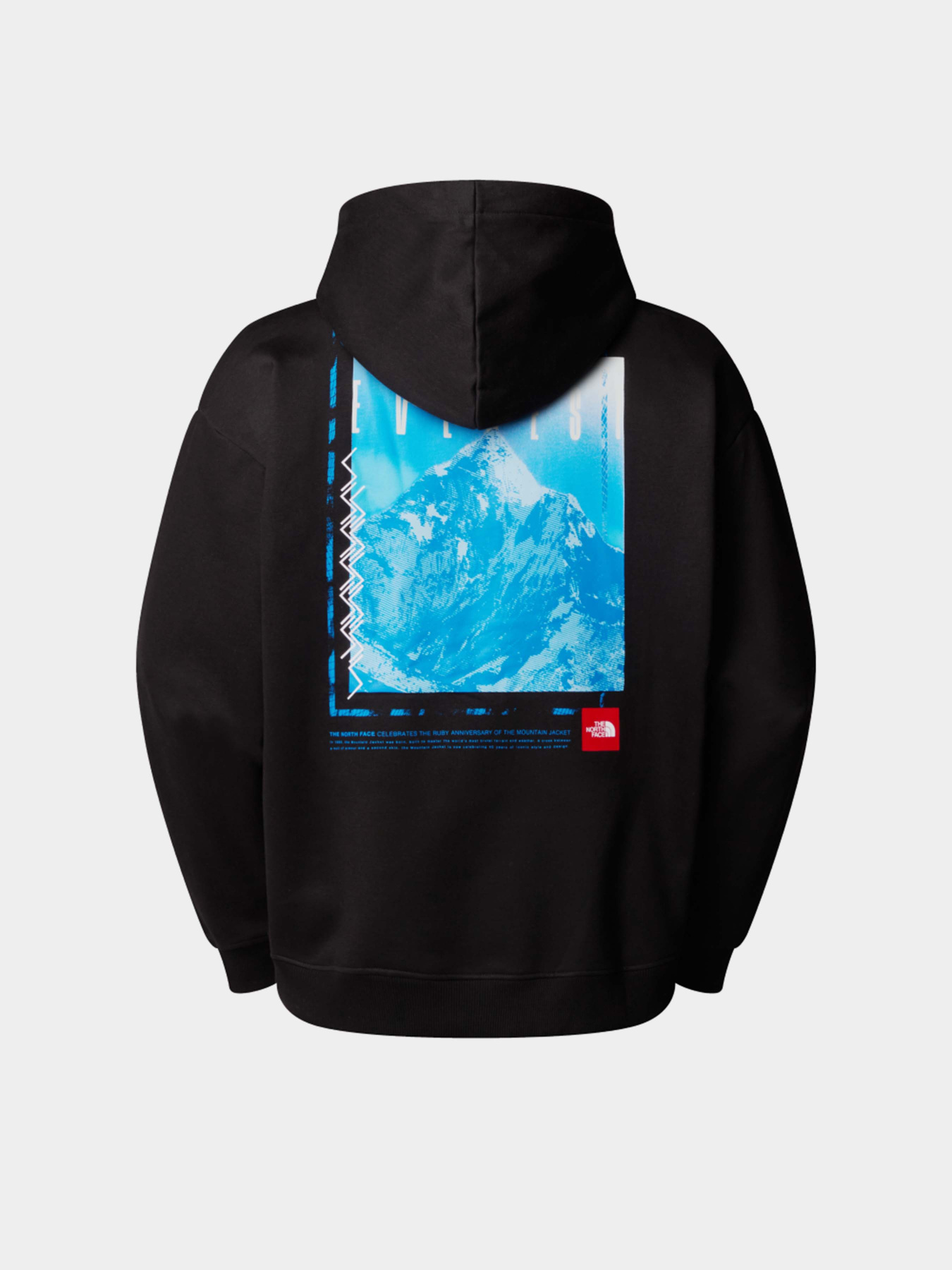 Худі та світшоти The North Face Axys Oversized модель NF0A8C1QJK31 Худі та світшоти The North Face Axys Oversized модель NF0A8C1QJK31 Фото