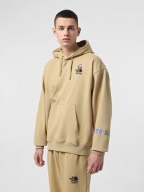 Худи и свитшоты The North Face Mountain Cleanup Oversized модель NF0A8C2VLK51 Фото