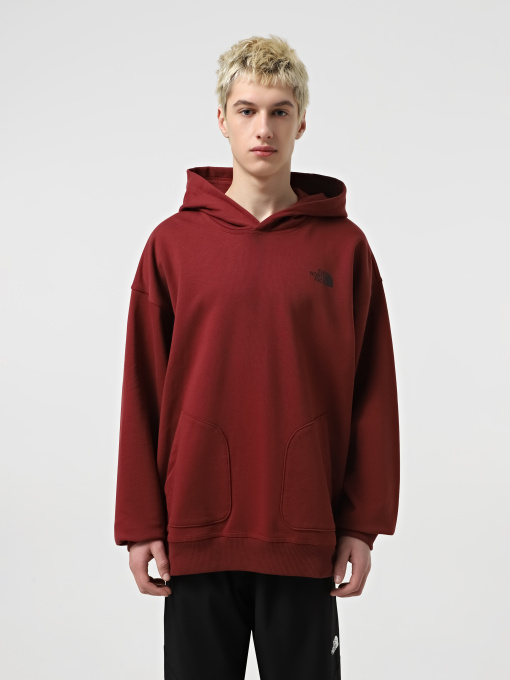 Худи и свитшоты The North Face Nse Oversized модель NF0A8C3V0VO1 Фото