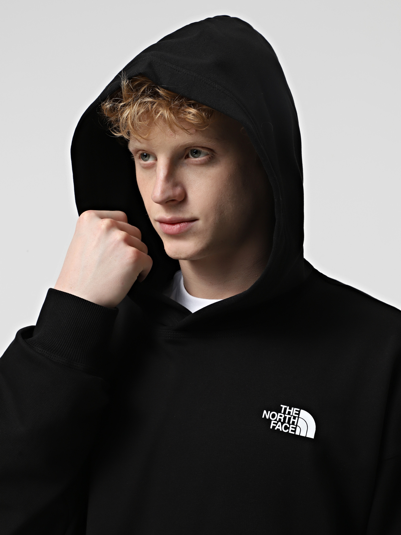 Худи и свитшоты The North Face Nse Oversized модель NF0A8C3VJK31 Фото