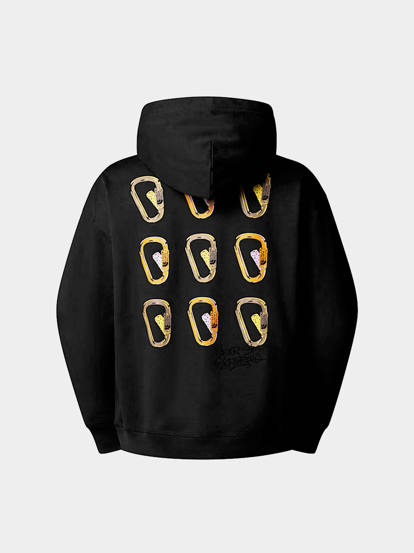 Худи и свитшоты The North Face Nse Oversized модель NF0A8C3VJK31 Фото
