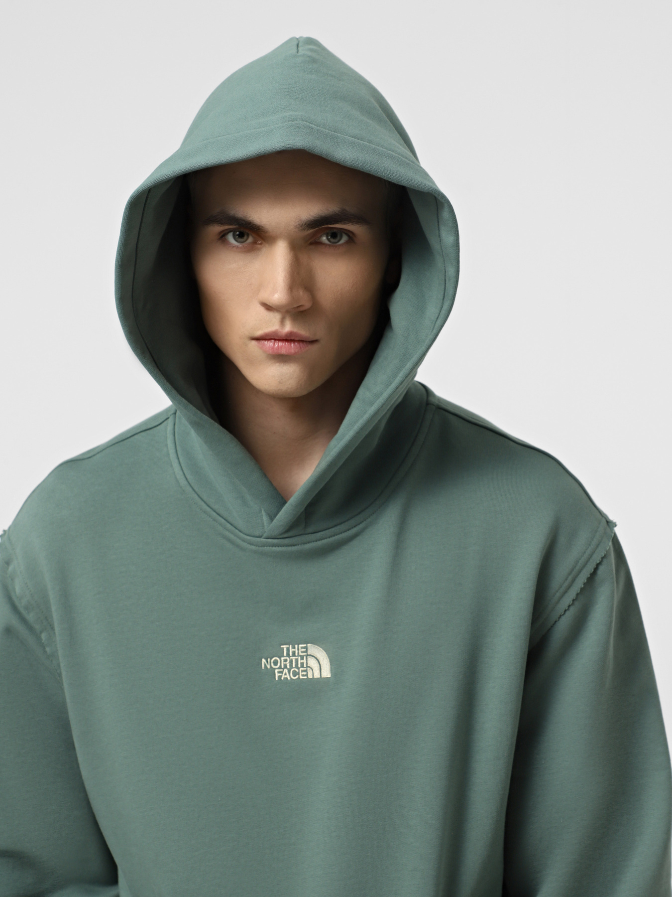 Худі та світшоти The North Face Heritage Graphic Relaxed модель NF0A8C42HCH1 Фото