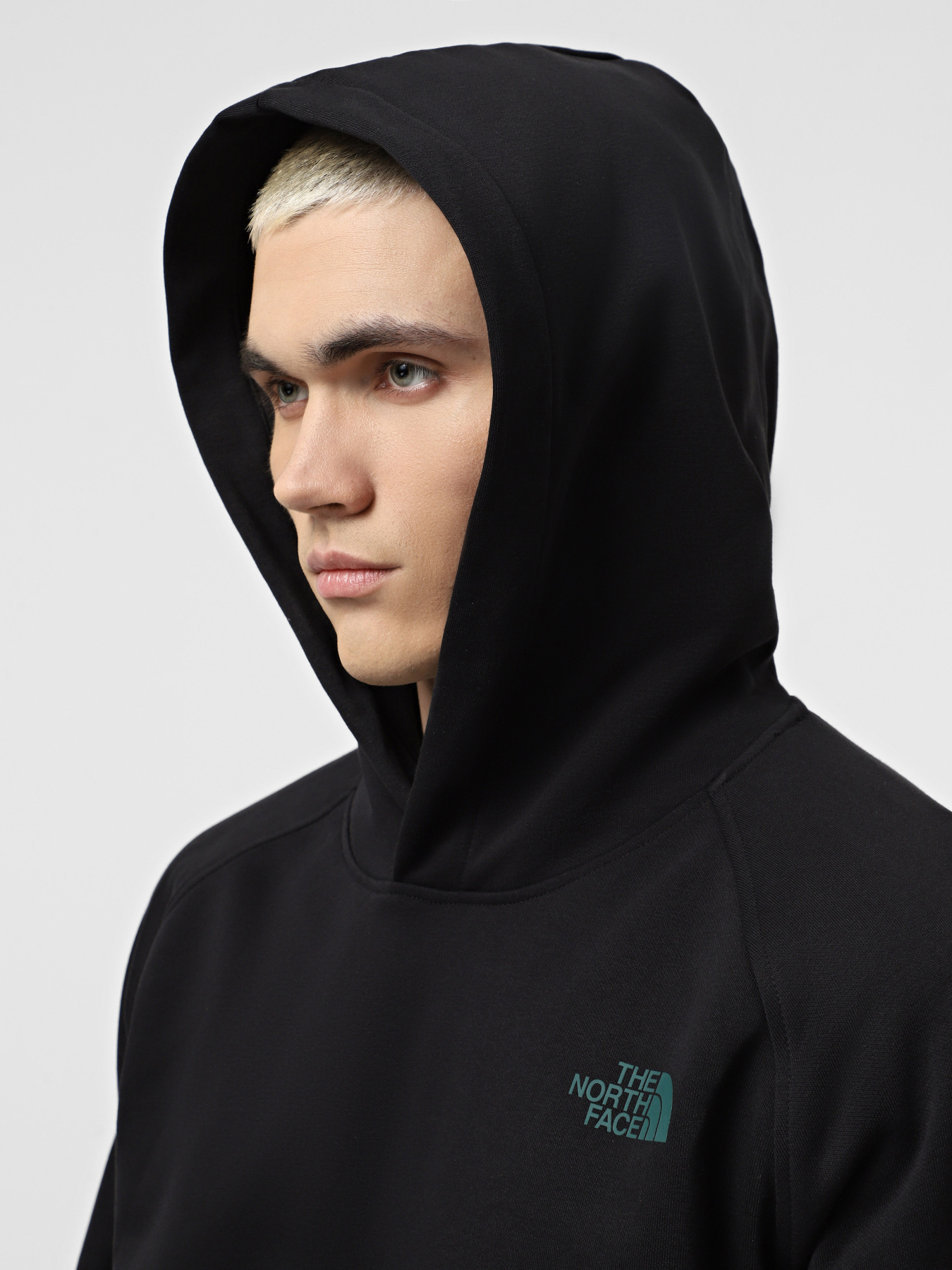 Худи и свитшоты The North Face Raglan Box Nse Tailgrid Infill модель NF0A8C4X9431 Худи и свитшоты The North Face Raglan Box Nse Tailgrid Infill модель NF0A8C4X9431 Фото