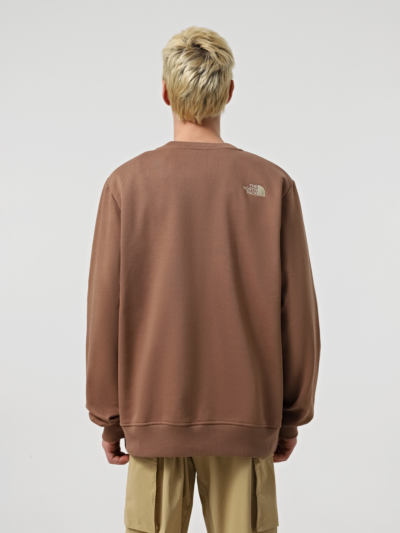 Худі та світшоти The North Face Drew Peak Crew модель NF0A89EKAR41 Фото