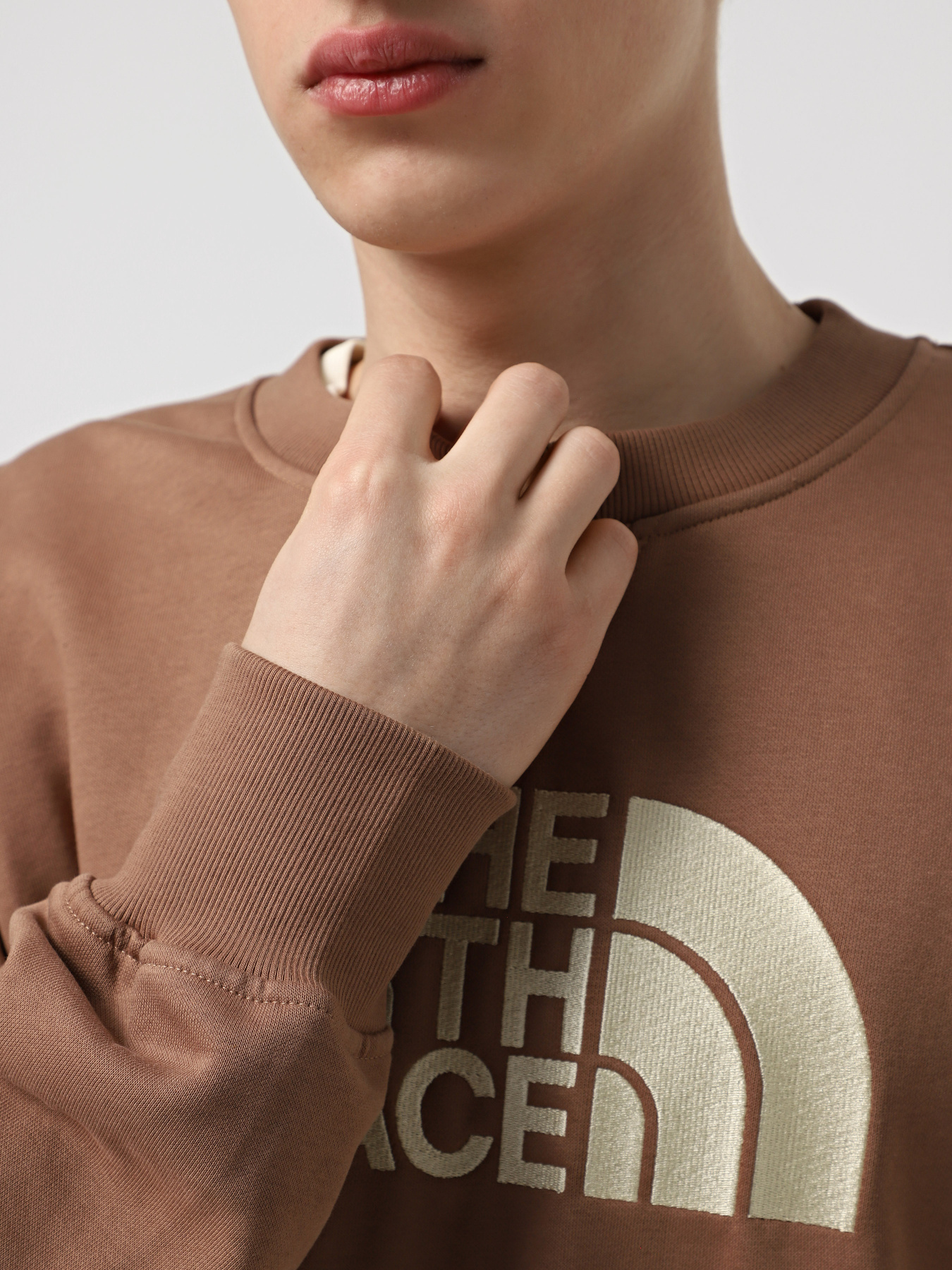 Худі та світшоти The North Face Drew Peak Crew модель NF0A89EKAR41 Фото