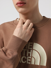 Худі та світшоти The North Face Drew Peak Crew модель NF0A89EKAR41 Фото
