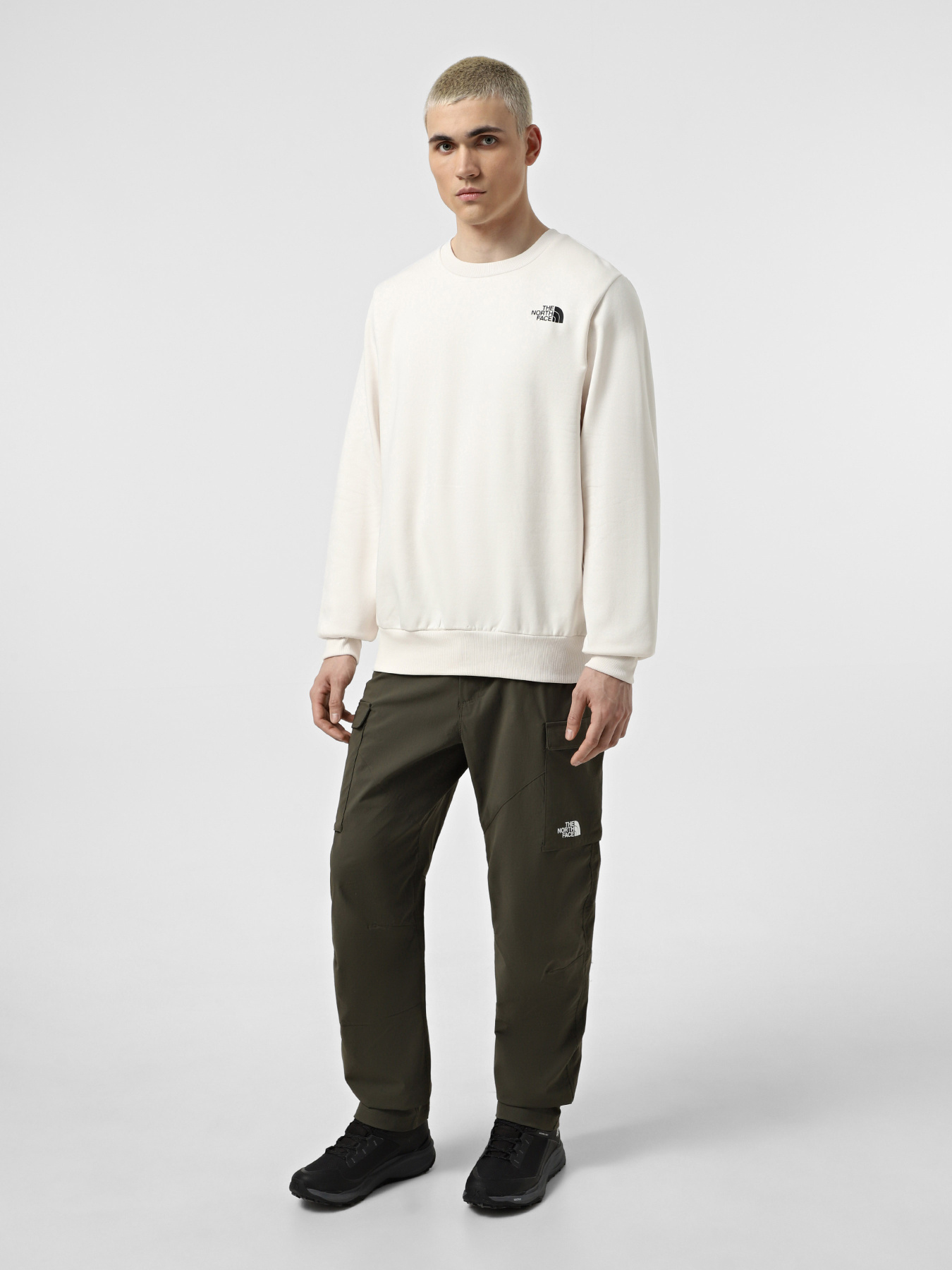 Худи и свитшоты The North Face Simple Dome Crew модель NF0A89FBQLI1 Худи и свитшоты The North Face Simple Dome Crew модель NF0A89FBQLI1 Фото