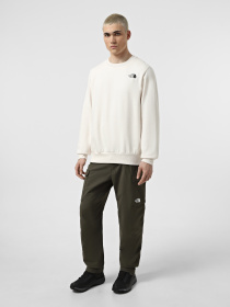Худи и свитшоты The North Face Simple Dome Crew модель NF0A89FBQLI1 Фото