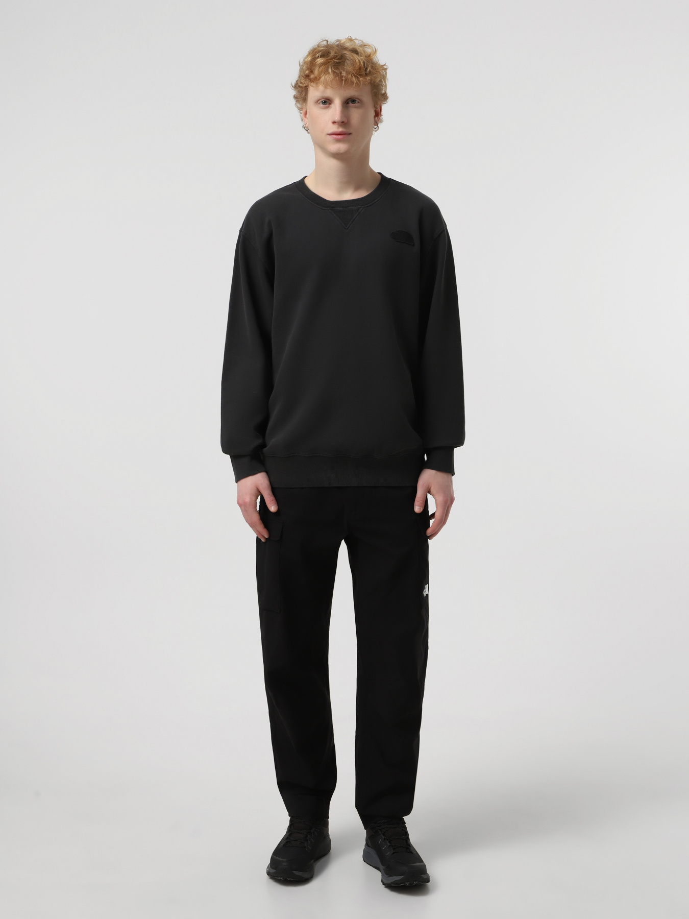 Худі та світшоти The North Face Nature Relaxed Crew модель NF0A8BW0JK31 Фото