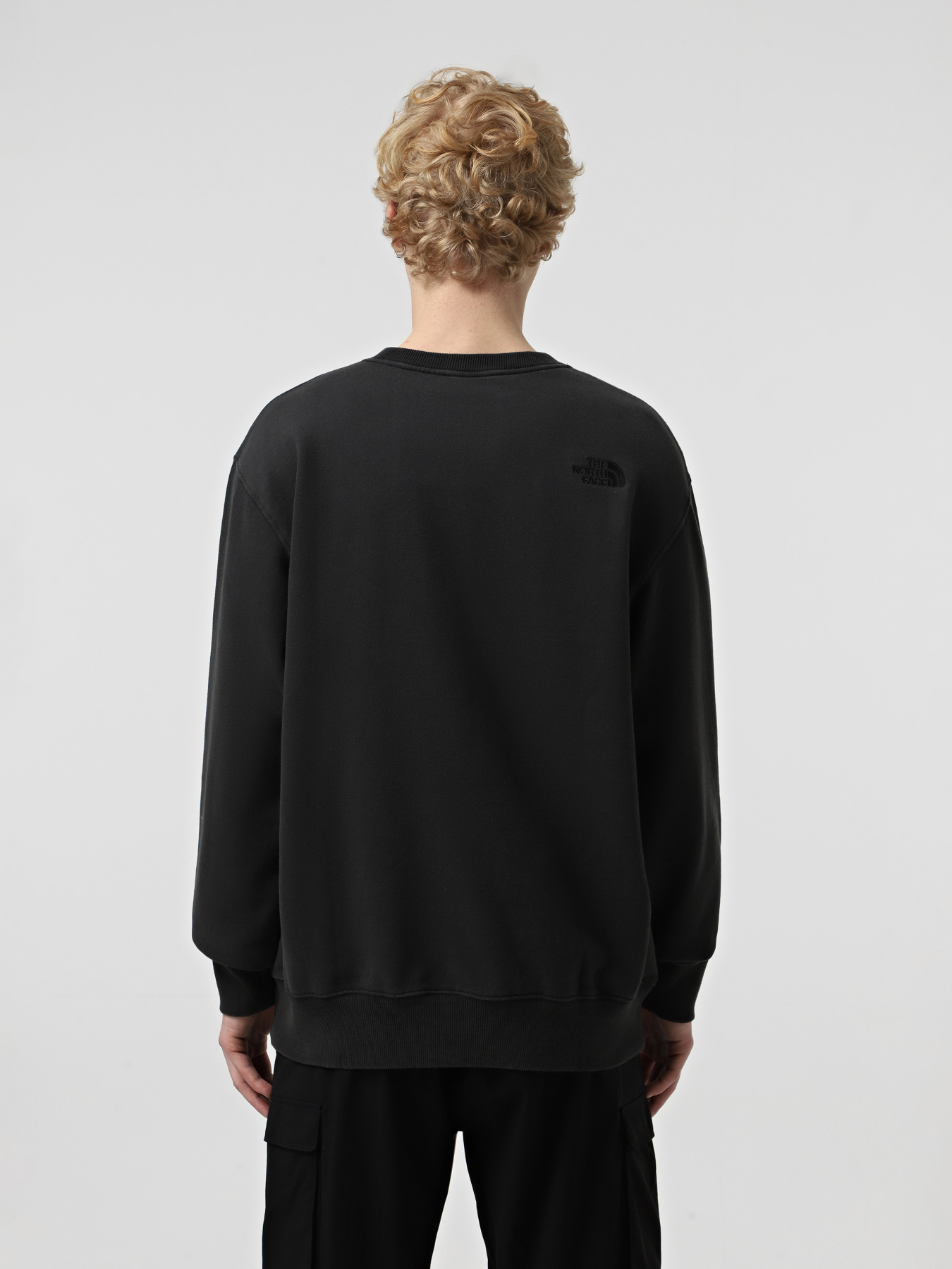 Худі та світшоти The North Face Nature Relaxed Crew модель NF0A8BW0JK31 Фото