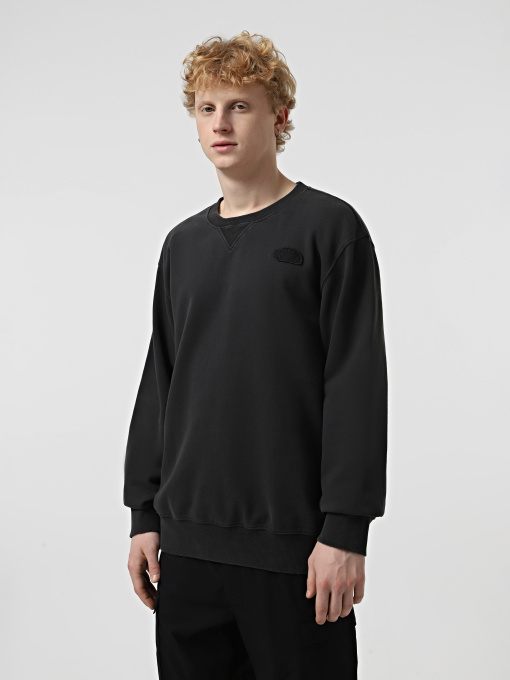 Худи и свитшоты The North Face Nature Relaxed Crew модель NF0A8BW0JK31 Фото