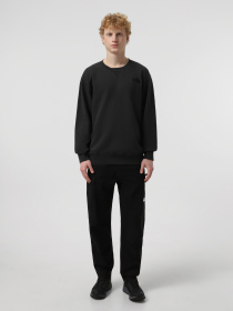 Худі та світшоти The North Face Nature Relaxed Crew модель NF0A8BW0JK31 Фото
