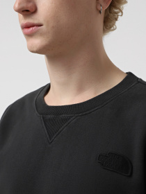 Худі та світшоти The North Face Nature Relaxed Crew модель NF0A8BW0JK31 Фото