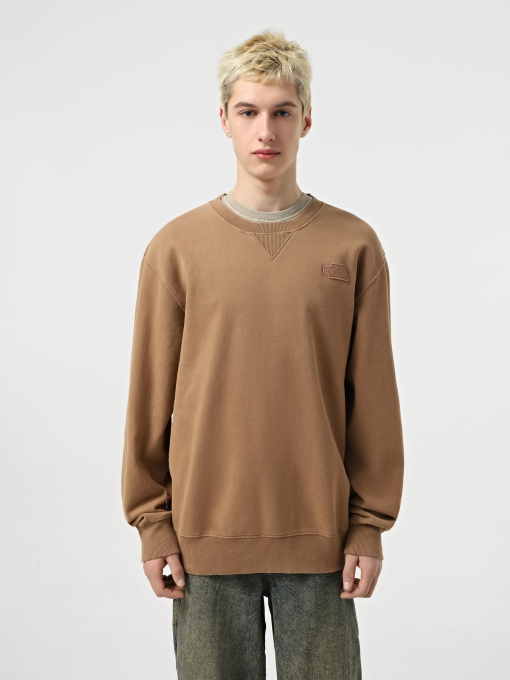 Худи и свитшоты The North Face Nature Relaxed Crew модель NF0A8BW06IH1 Фото