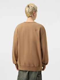 Худи и свитшоты The North Face Nature Relaxed Crew модель NF0A8BW06IH1 Фото