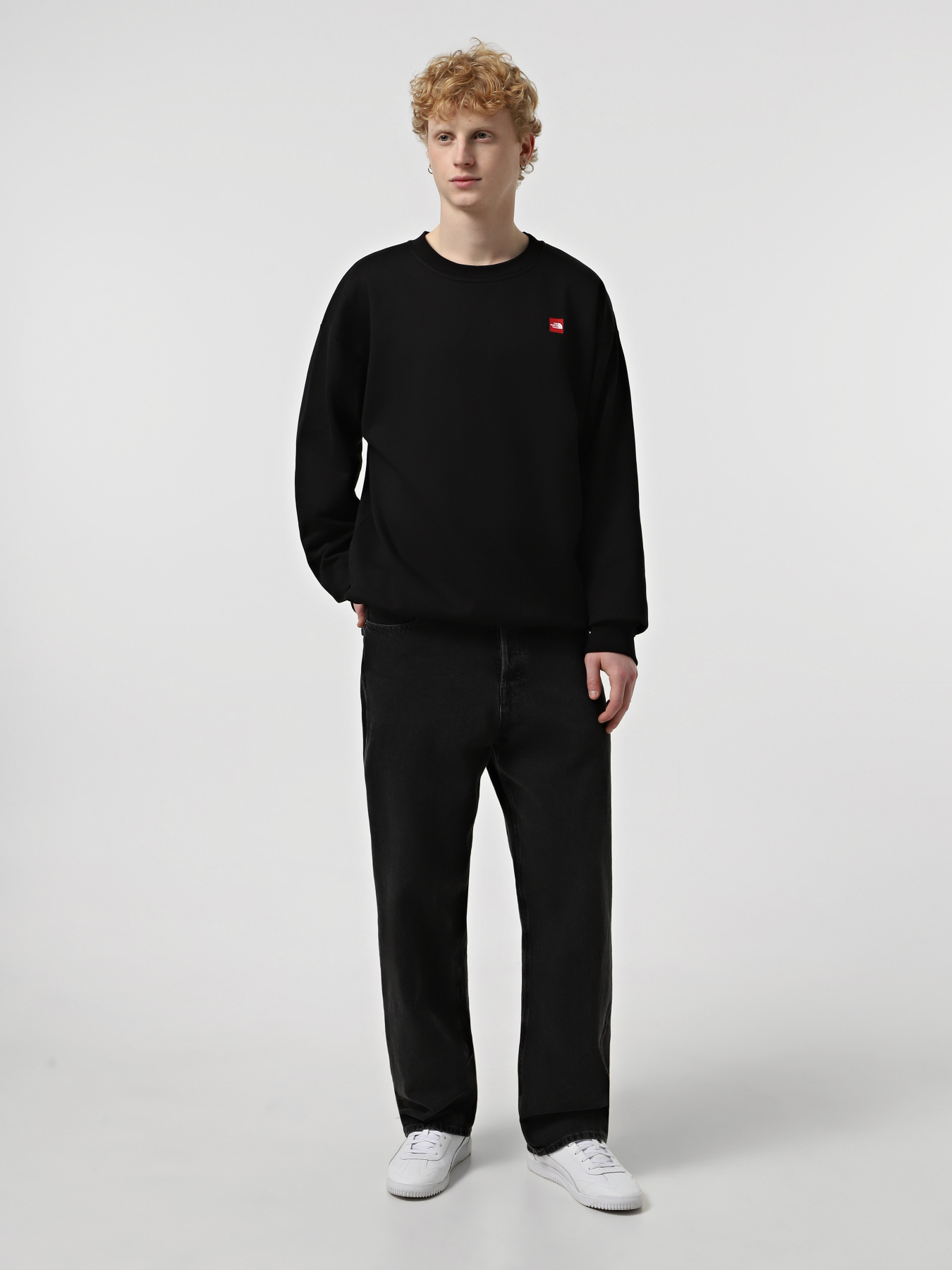 Худи и свитшоты The North Face Axys Oversized Crew модель NF0A8C1SJK31 Худи и свитшоты The North Face Axys Oversized Crew модель NF0A8C1SJK31 Фото