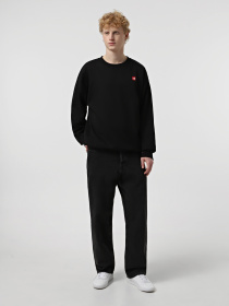 Худи и свитшоты The North Face Axys Oversized Crew модель NF0A8C1SJK31 Фото