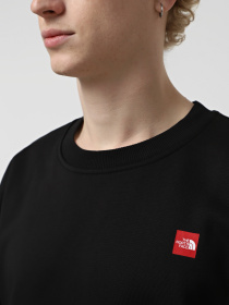 Худи и свитшоты The North Face Axys Oversized Crew модель NF0A8C1SJK31 Фото