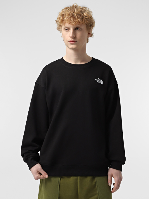 Худи и свитшоты The North Face NSE Oversized Crew модель NF0A8C3UJK31 Фото