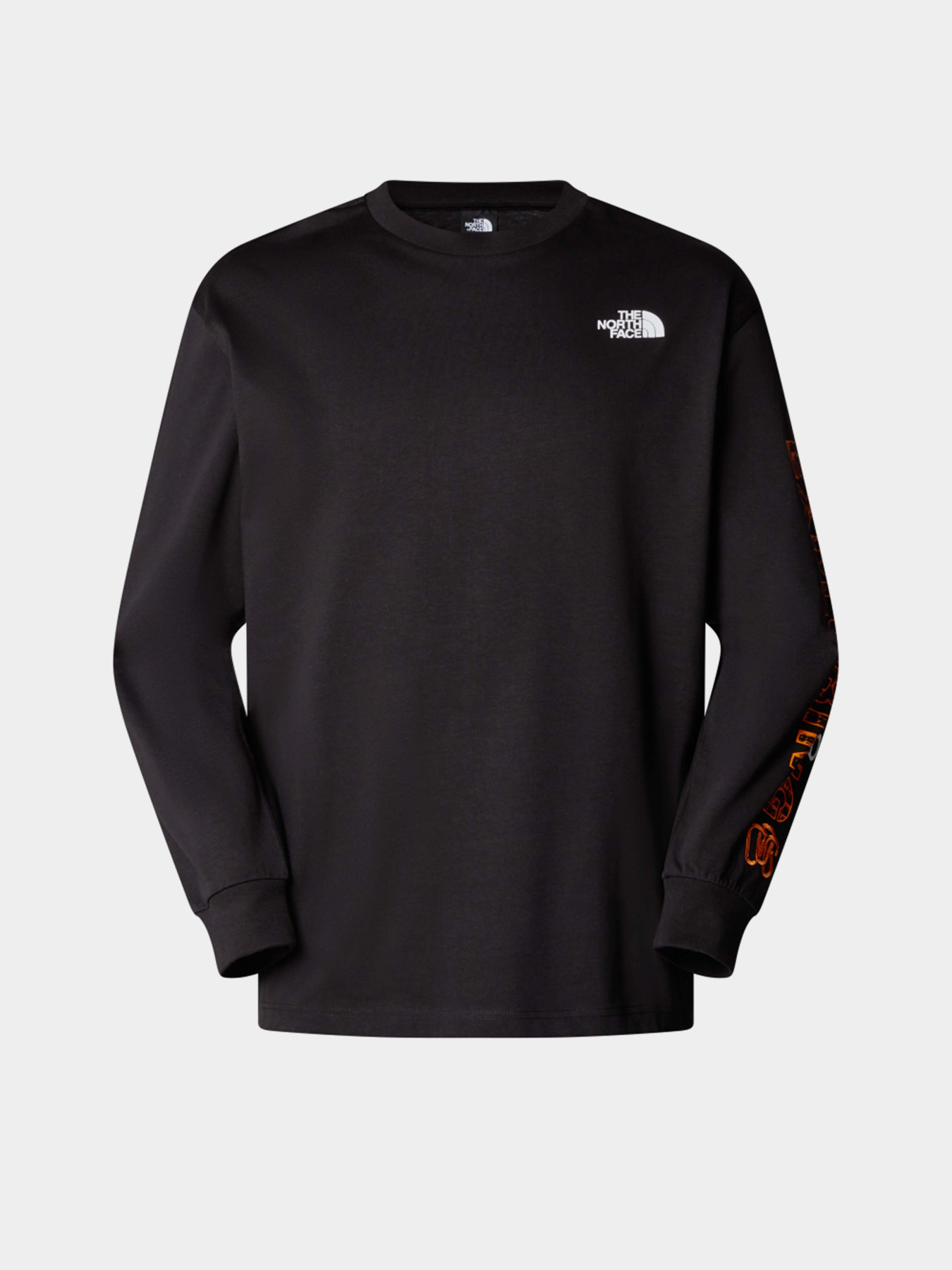 Худи и свитшоты The North Face Ls Nse Oversized модель NF0A8C3ZJK31 Худи и свитшоты The North Face Ls Nse Oversized модель NF0A8C3ZJK31 Фото