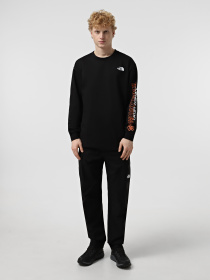 Худи и свитшоты The North Face Ls Nse Oversized модель NF0A8C3ZJK31 Фото