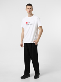 Футболки и поло The North Face GPS T-Shirt Kyiv модель NF0A8FZDFN41 Фото