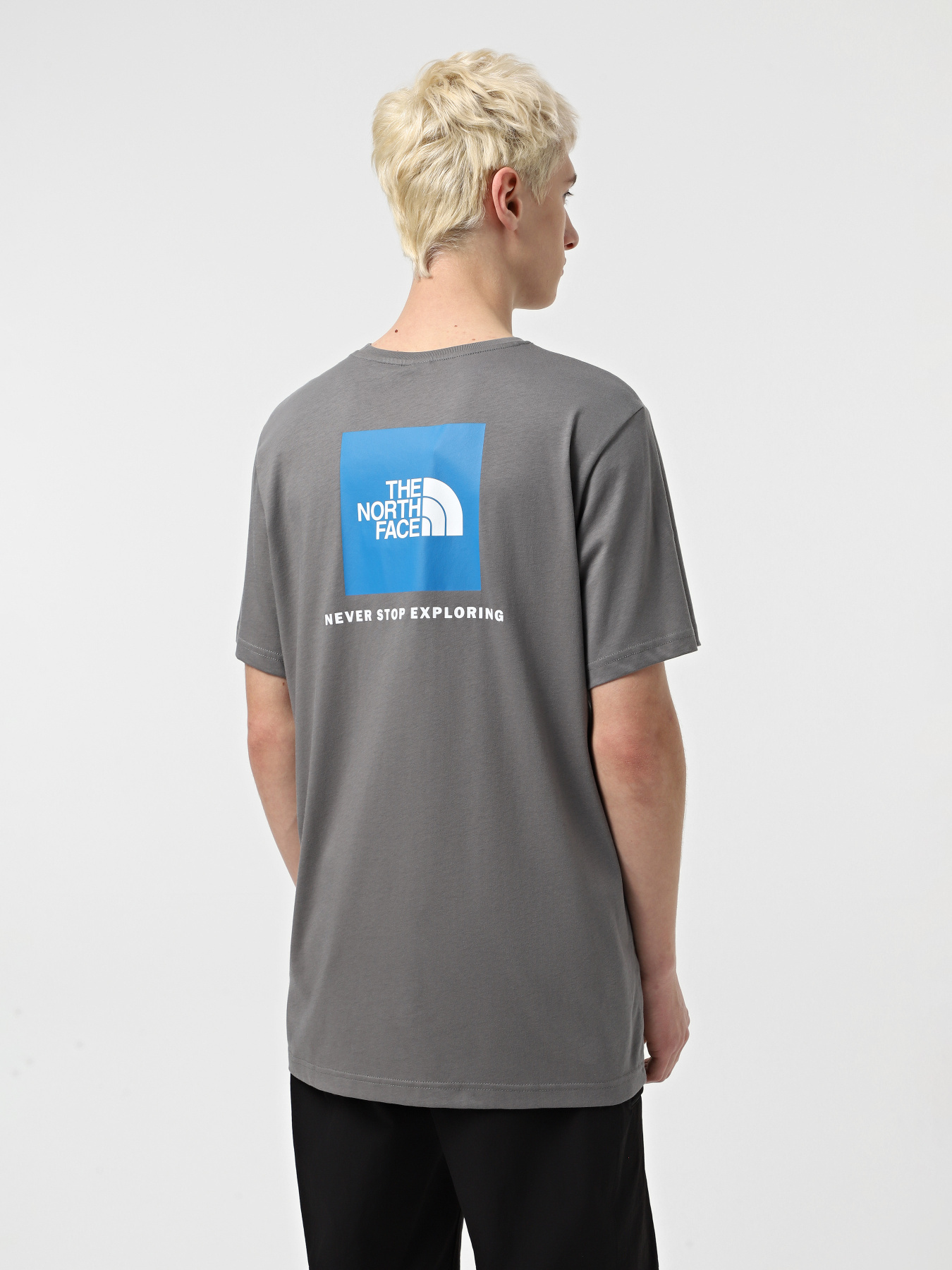Футболки і поло The North Face Red Box модель NF0A87NPARX1 Футболки і поло The North Face Red Box модель NF0A87NPARX1 Фото