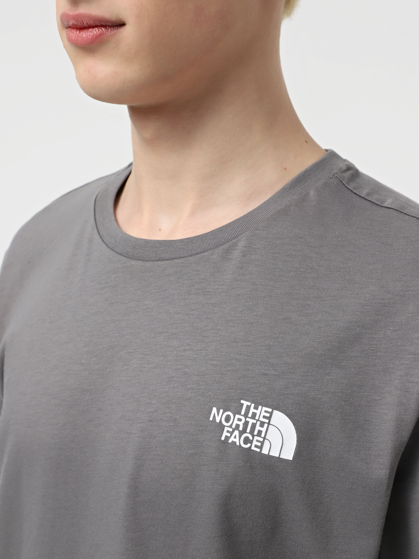 Футболки і поло The North Face Red Box модель NF0A87NPARX1 Футболки і поло The North Face Red Box модель NF0A87NPARX1 Фото